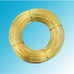 世界怎么了？黃銅圓線得多讀書(shū)多看報(bào)了